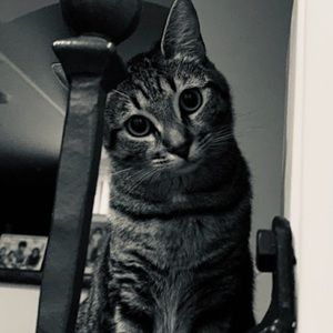 Meet your Posher, Heidi